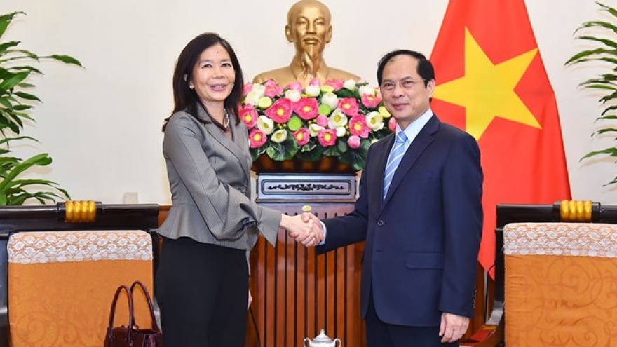 Vietnam calls for UN organisations’ cooperation in priortised areas: FM