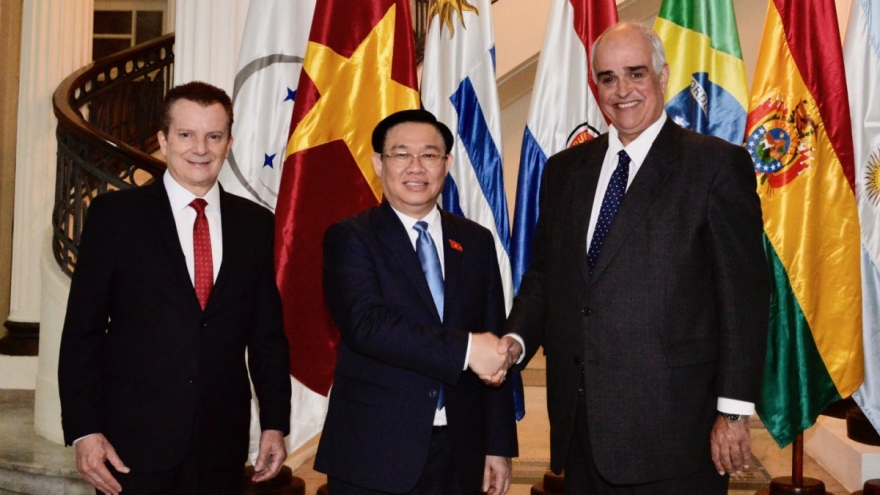 Vietnam places importance on boosting ties with Mercosur Parliament