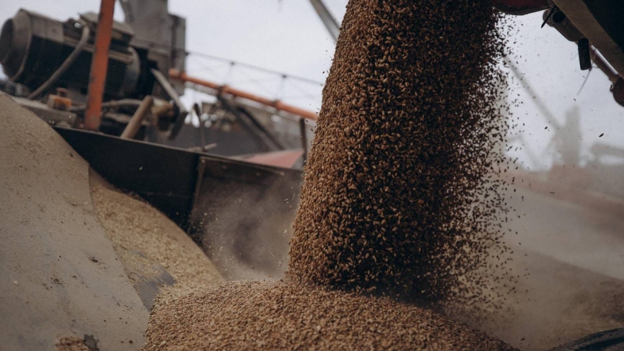 Slovakia tăng cường kiểm soát ngũ cốc từ Ukraine