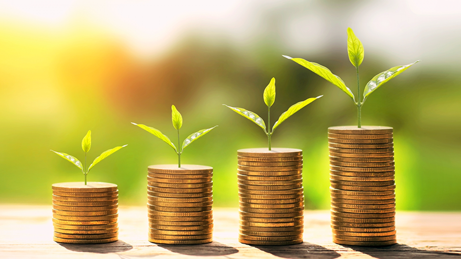 Sản phẩm bảo hiểm liên kết: Mập mờ giữa đầu tư kiếm lợi nhuận và bảo vệ rủi ro