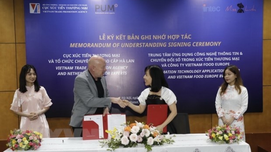 Vietnam, the Netherlands promote exports through digital environment