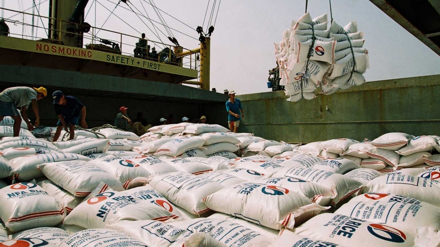Rice exports maintain growth momentum