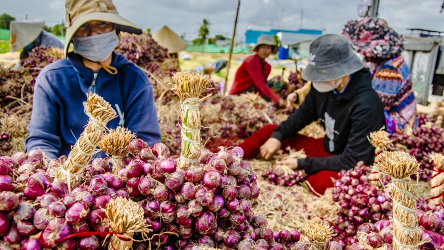 Vietnam’s spring onions are great in soups