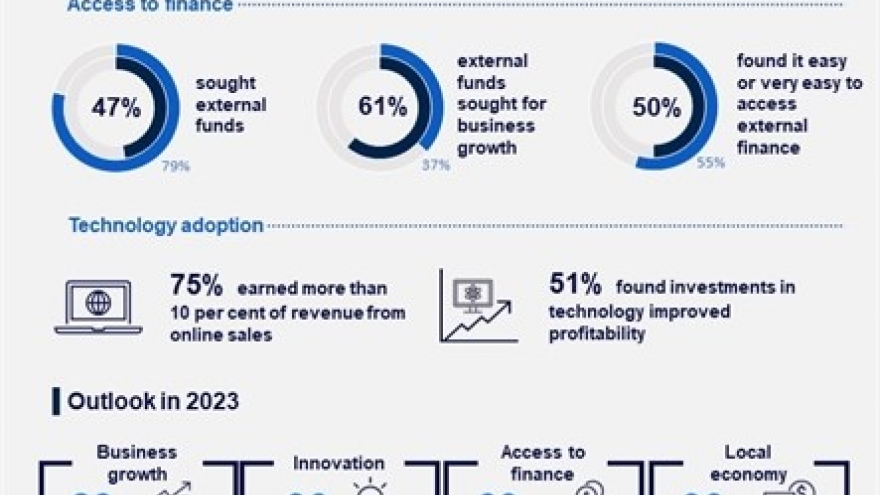 Digitalisation, innovation spur Vietnamese small businesses on expansion