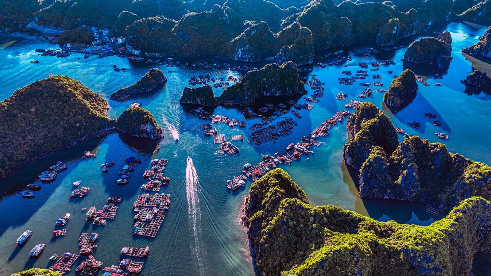 Photographer rises to fame for scores of winning artworks globally