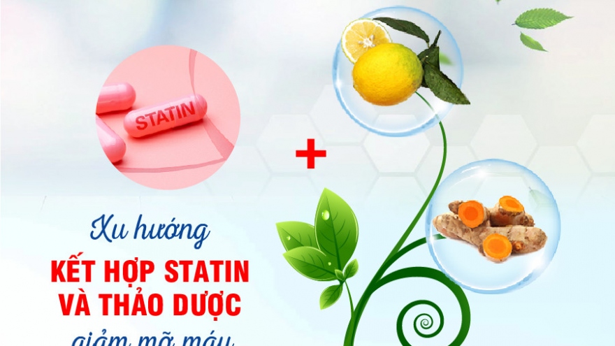 Kết hợp Statin và thảo dược - Hướng đi mới trong điều trị mỡ máu cao