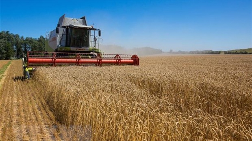 Trước làn sóng bất ổn, Ba Lan sẽ tạm ngừng nhập khẩu ngũ cốc của Ukraine
