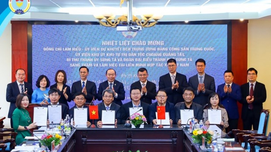 Officials seek to bolster ties between Vietnamese, Chinese cooperatives, enterprises