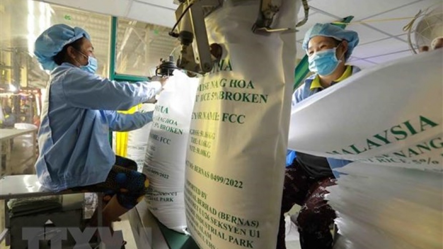 Vietnam’s rice exports surge on supply crunch