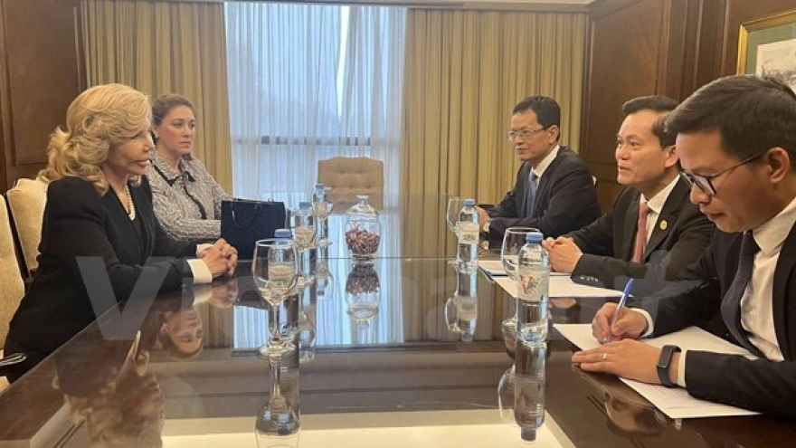 Deputy FM meets with Honourary Consul of Vietnam in Paraguay