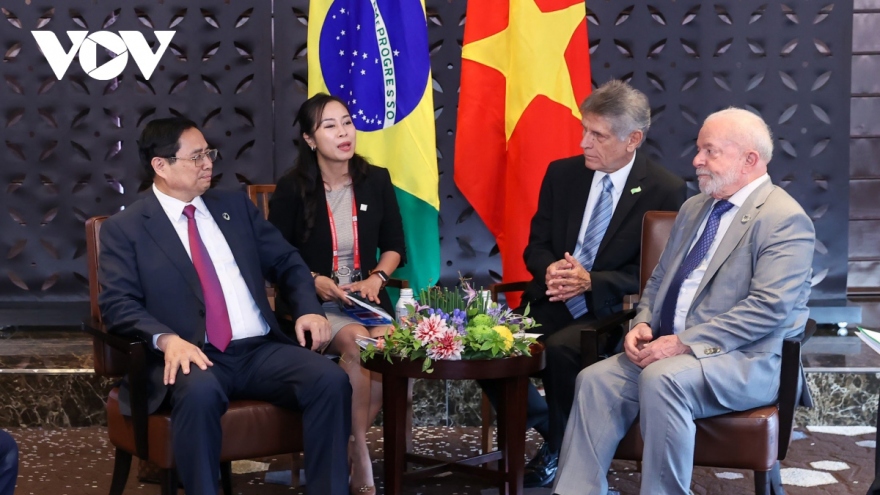 Vietnamese cabinet leader meets with Presidents of Brazil, Ukraine
