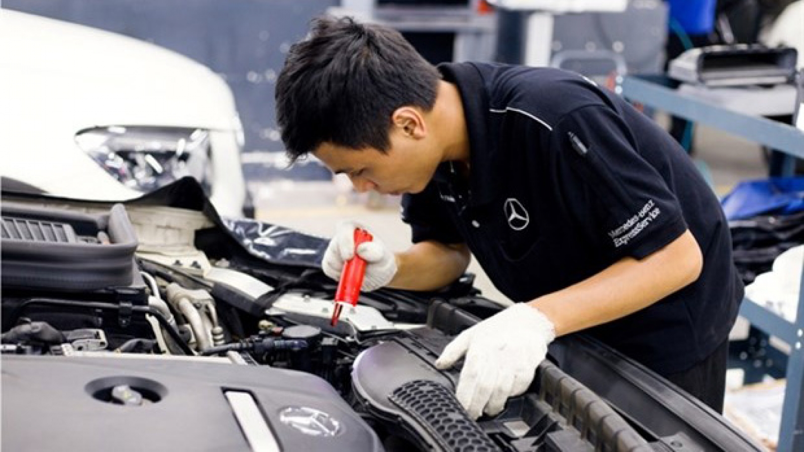Cut on automobile registration fees to facilitate auto industry