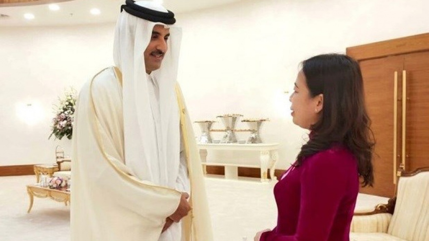 Vietnam-Qatar relations have huge potential after 30 years of development: Ambassador