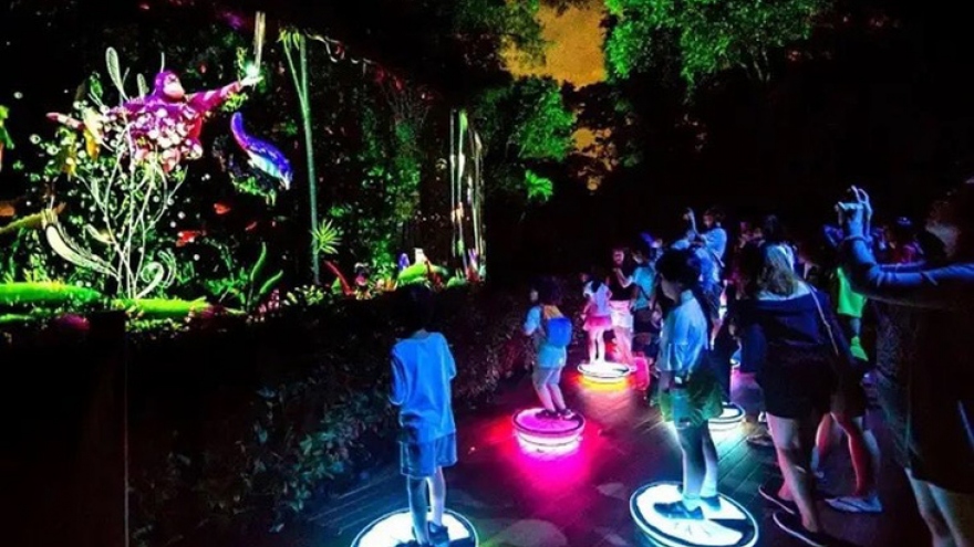 First virtual reality light park to take shape in Da Nang