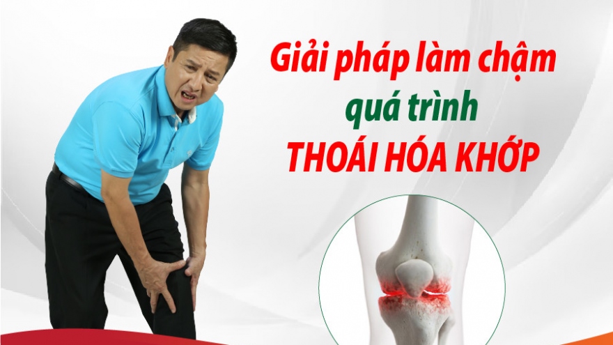 Giải pháp làm chậm quá trình thoái hóa khớp