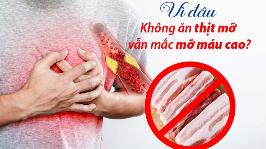 Không ăn thịt mỡ vẫn bị mỡ máu cao: Nguyên nhân do đâu?