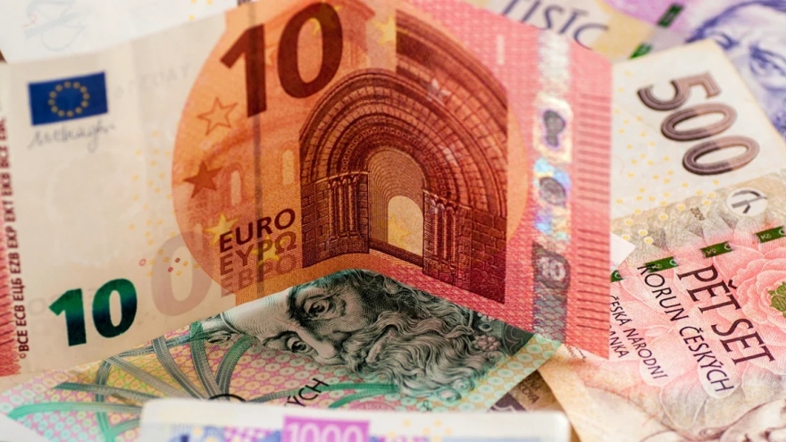 Séc chưa sẵn sàng gia nhập khu vực đồng euro