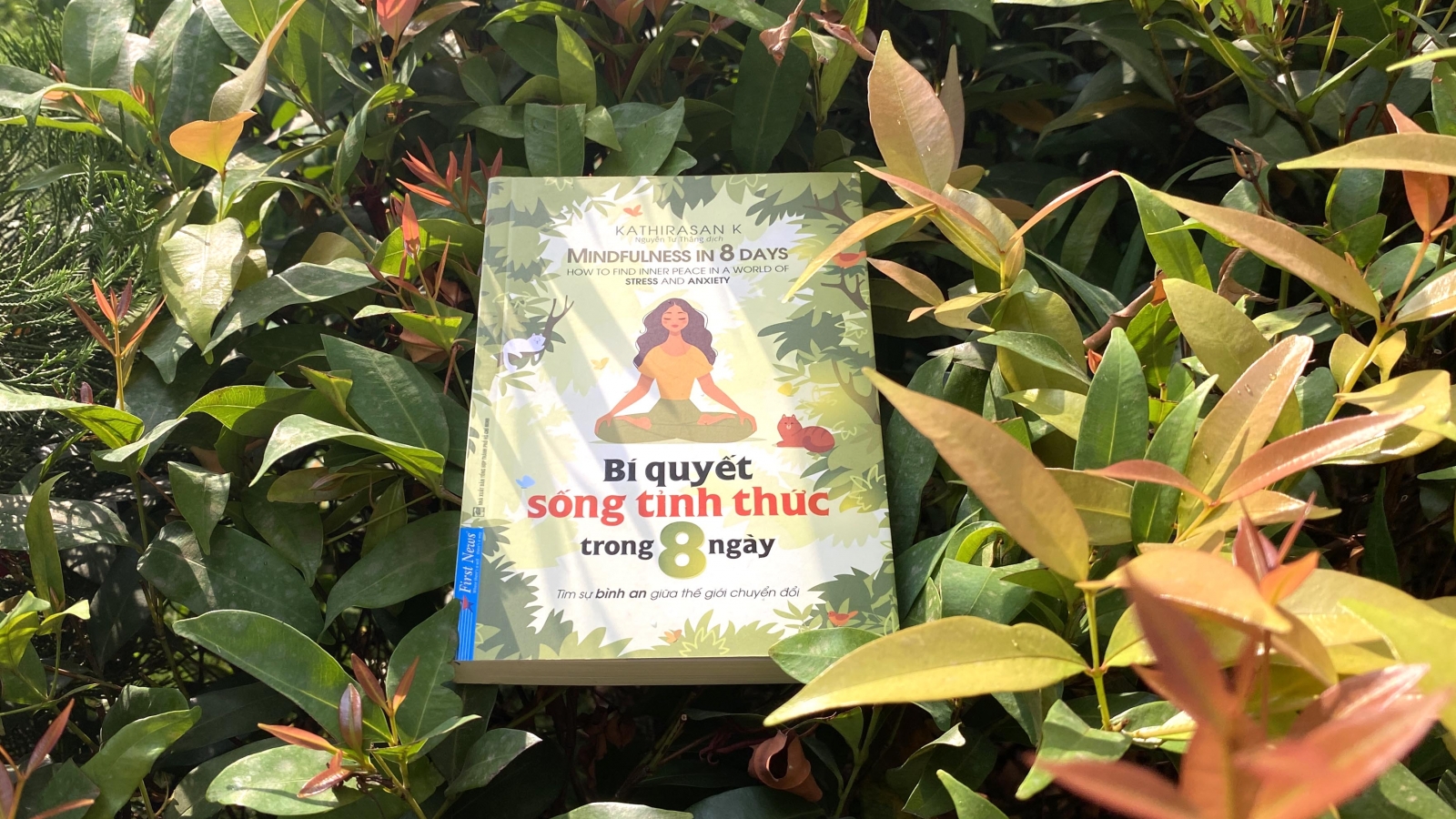 "Bí quyết sống tỉnh thức trong 8 ngày" - Cuốn sách giúp bạn tìm bình an