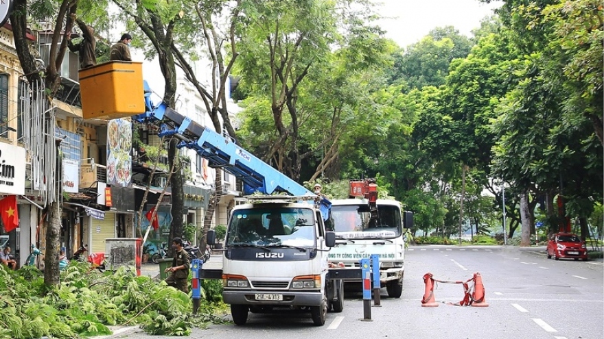 Hà Nội rà soát an toàn cây xanh trước mùa mưa bão