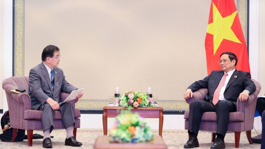 PM receives leaders of friendship associations, meets Vietnamese community in Japan