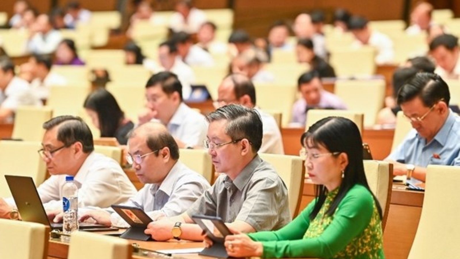 Deputies emphasise need to prevent false information on goods, services