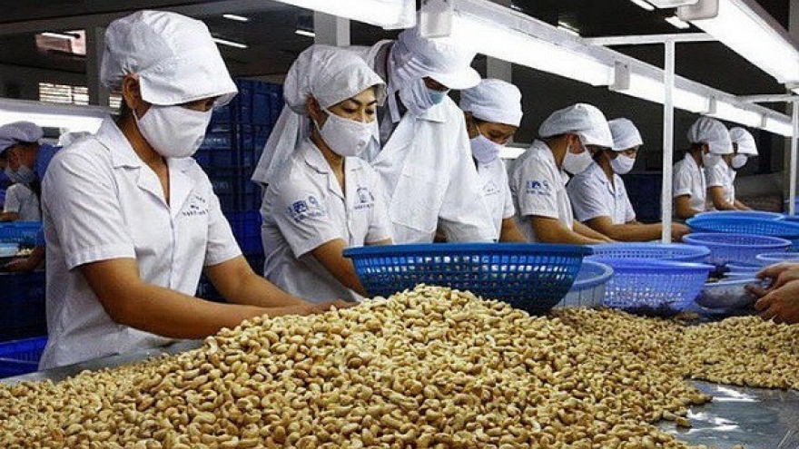 Cashew exports in April hit record high