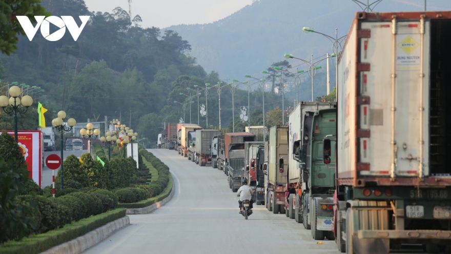 Khuyến cáo DN xuất khẩu sầu riêng theo dõi sát tình hình cửa khẩu Lạng Sơn