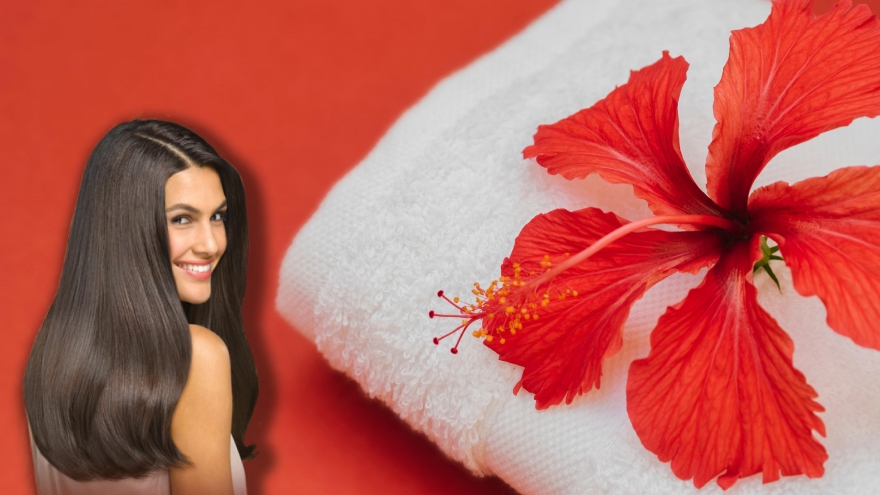 4 cách sử dụng hoa dâm bụt để kiểm soát tóc rụng và khô