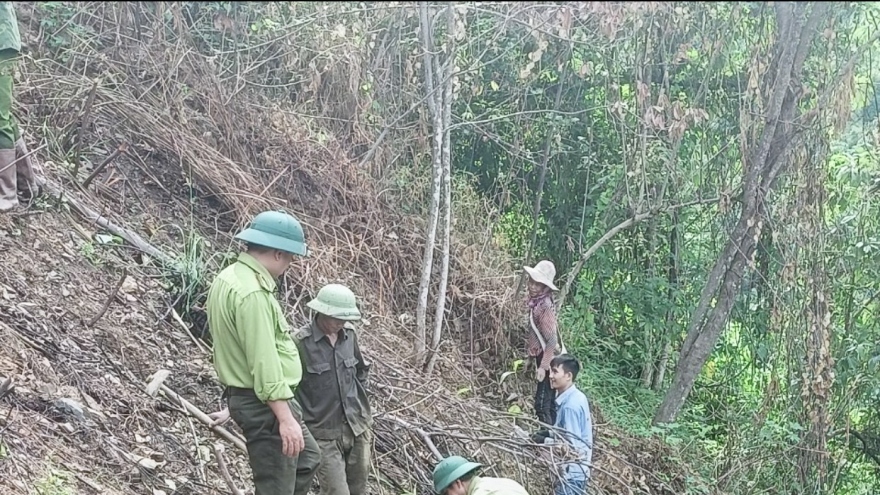 Nhiều cánh rừng tại Sơn La nguy cơ cháy ở cấp cực kỳ nguy hiểm