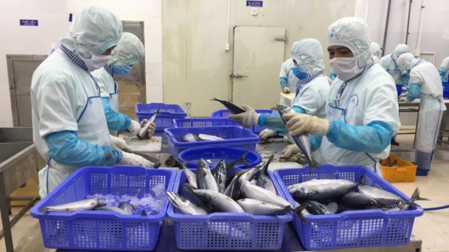 Không có nguyên liệu, doanh nghiệp chế biến hải sản phải nhập từ nước ngoài