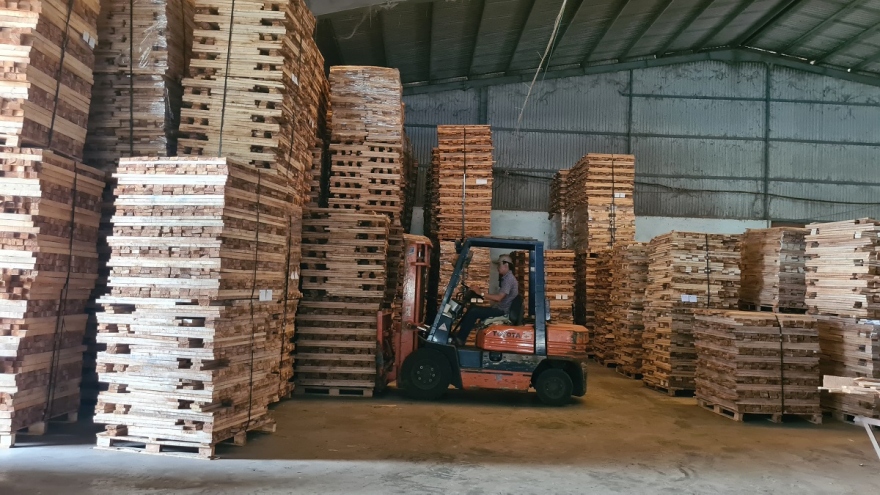 Doanh nghiệp chế biến gỗ gặp khó khăn do thị trường suy giảm nhu cầu