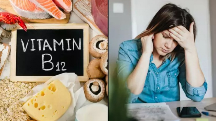 Ai có nguy cơ thiếu Vitamin B12 cao hơn?