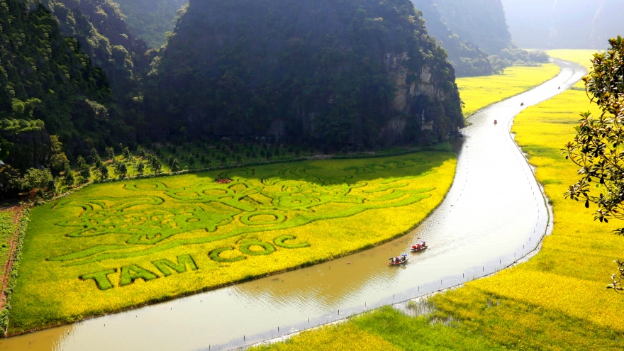 Ninh Bình kín phòng trong tuần du lịch "Sắc vàng Tam Cốc - Tràng An"