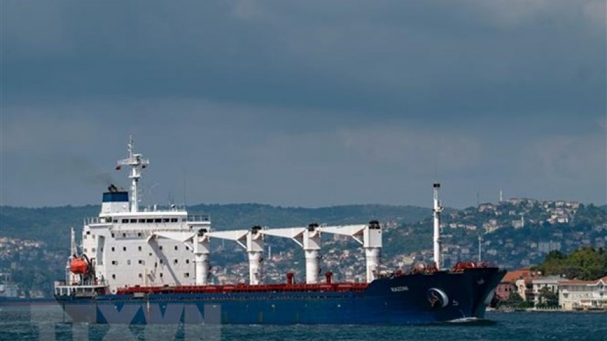 Nga: Đàm phán thỏa thuận xuất khẩu ngũ cốc qua Biển Đen không có đột phá
