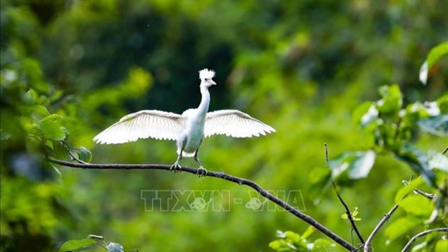 Various activities to respond to Int’l Day for Biological Diversity