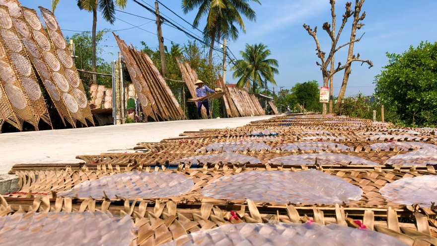 Làng nghề bánh tráng hơn 200 năm trở thành Di sản văn hóa phi vật thể quốc gia