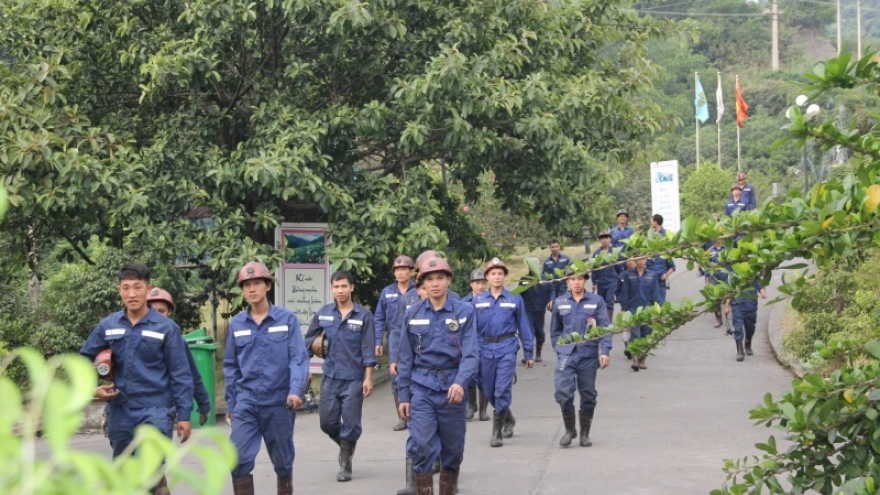 Ngành than đảm bảo cung ứng đủ than cho các nhà máy nhiệt điện