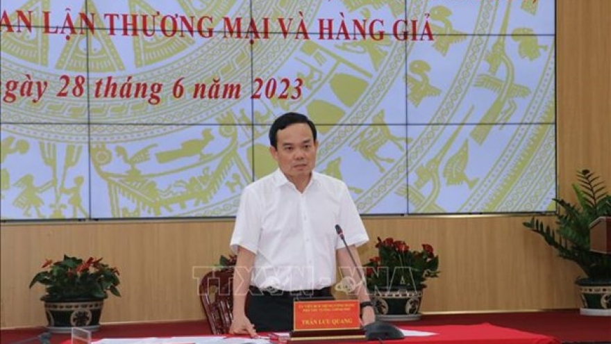 Deputy PM directs fight against IUU, smuggling, drug trafficking in Mekong Delta
