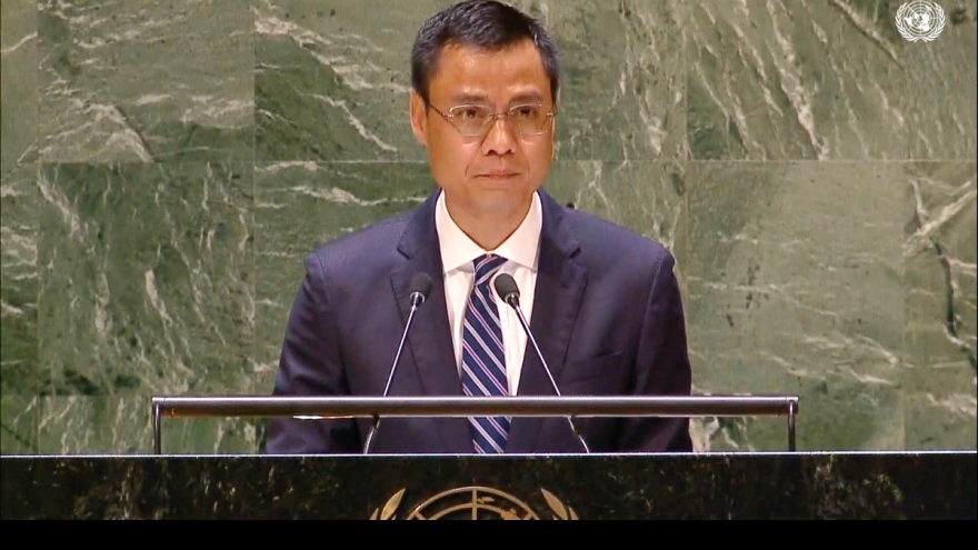 Vietnam condemns terrorism in all forms, says ambassador to UN