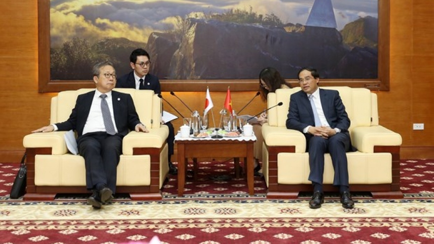 Lao Cai looks to expand cooperation with Japanese partners