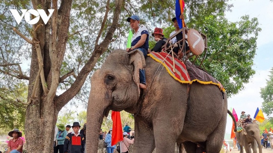 Ceremony to pray for elephants’ health in Dak Lak