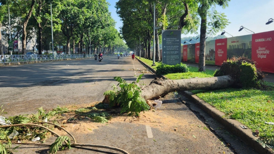 Cây xanh ở TP.HCM gẫy đổ ngổn ngang sau trận mưa giông lớn