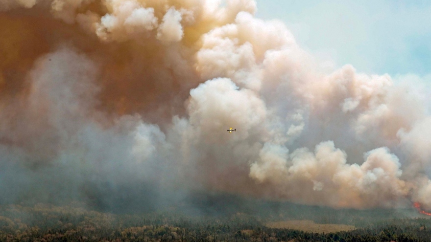 Cháy rừng ở Chile khiến 123 người thiệt mạng