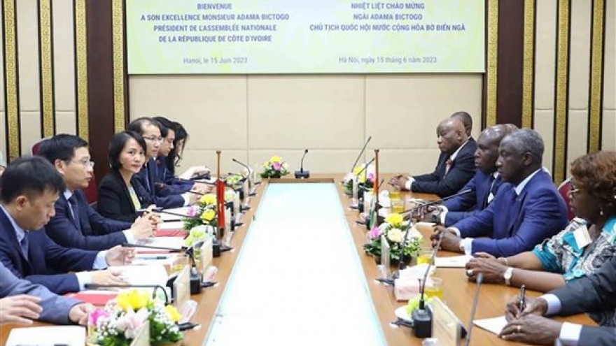 Côte d’Ivoire leader suggests specific activities in transport cooperation with VN
