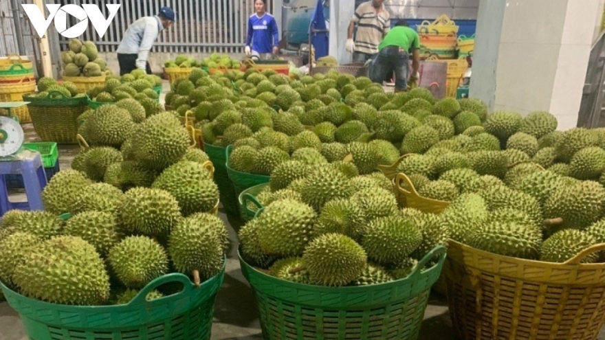 Vietnamese durian proves popular among UK customers