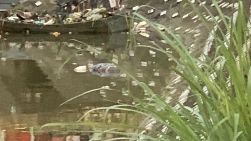 Thi thể người đàn ông trong hồ Ao Cá tại Hạ Long