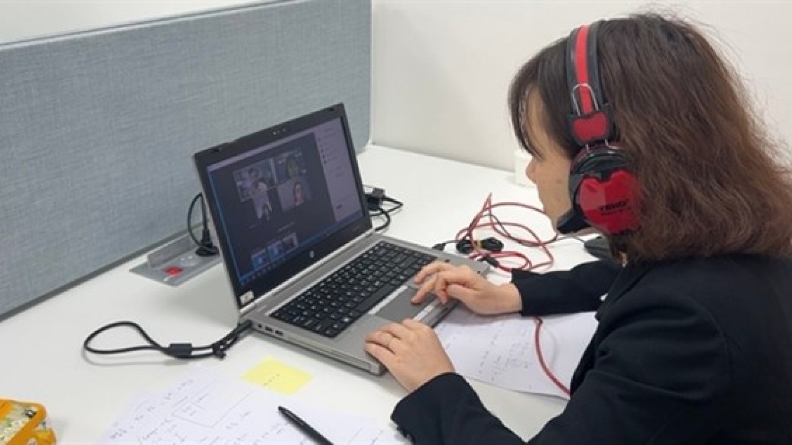 Online meeting discusses Vietnam-RoK cooperation in television, animation