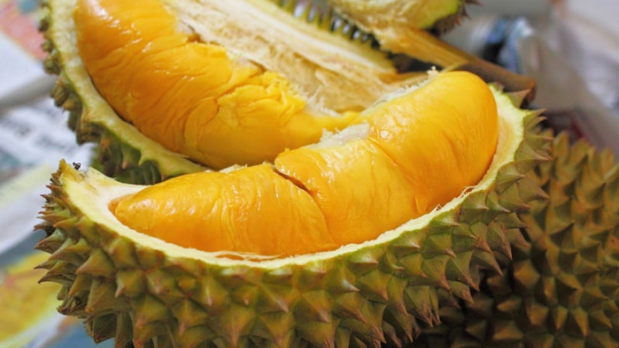 Dong Nai's first batch of durians officially shipped to China