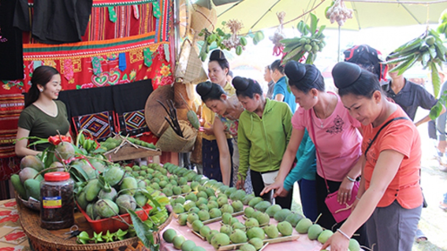 Ngày hội xoài Yên Châu: Cơ hội hợp tác, đầu tư phát triển du lịch