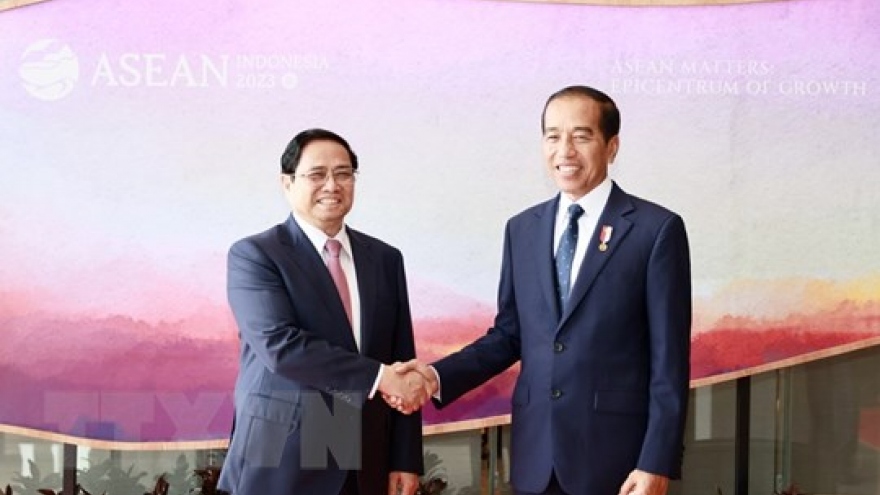 Indonesian research fellow hails Vietnam’s “bamboo diplomacy”